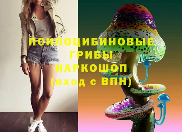 бошки Горняк