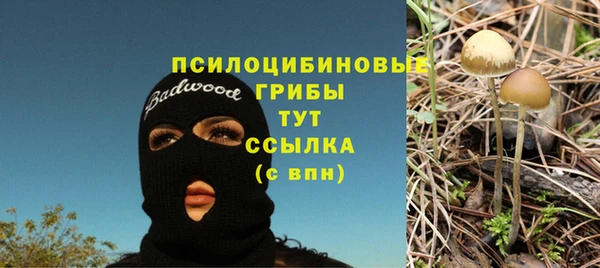 бошки Горняк