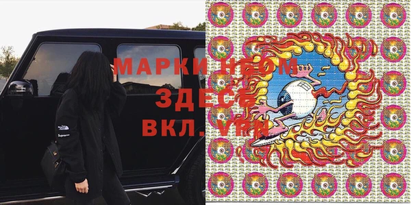 молекула духа Гусиноозёрск