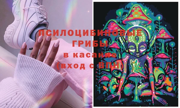 бошки Горняк